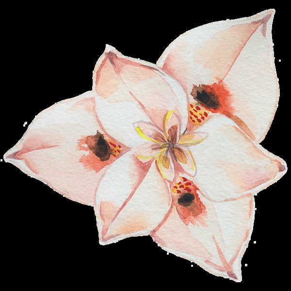 粉色花朵水彩透明花朵素材