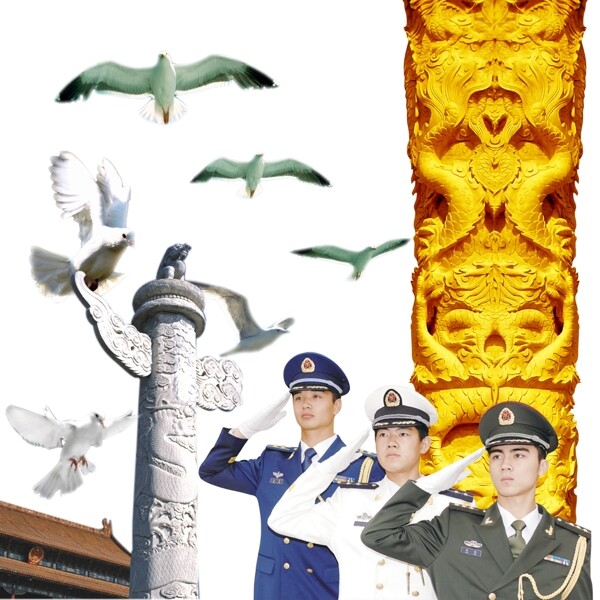 三军仪仗队鸽子海鸥华表龙纹图片