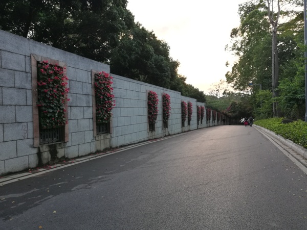 道路围墙花卉盆栽