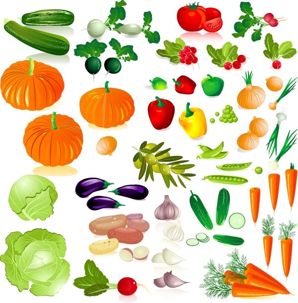 新鲜的水果和蔬菜矢量素材