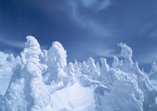 冬天雪景雪景大雪