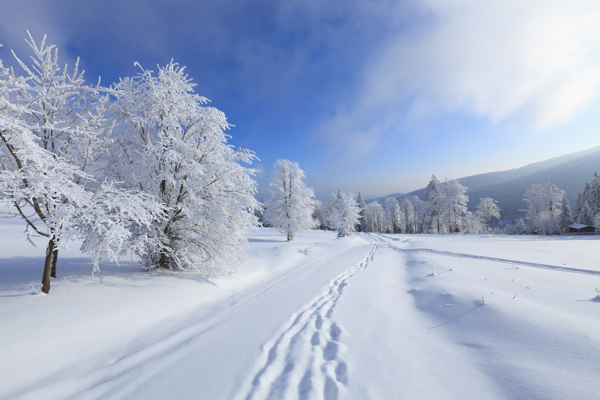 唯美雪景图片