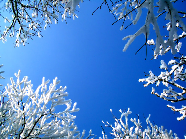 蓝天雪景图片