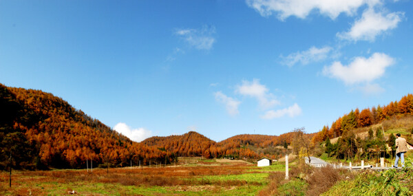 长岭岗林场图片