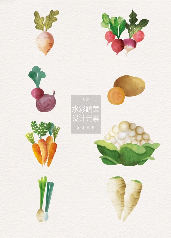 水彩蔬菜设计元素
