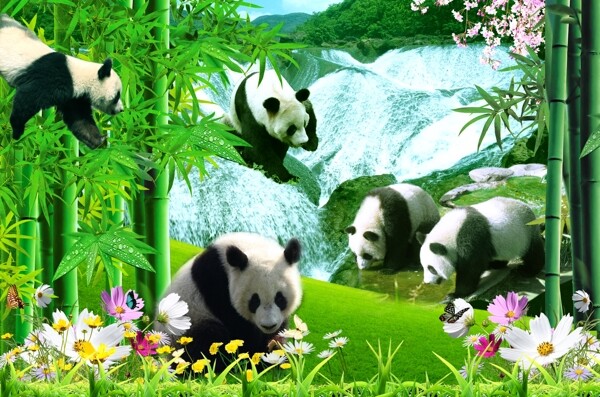 竹林中的大熊猫