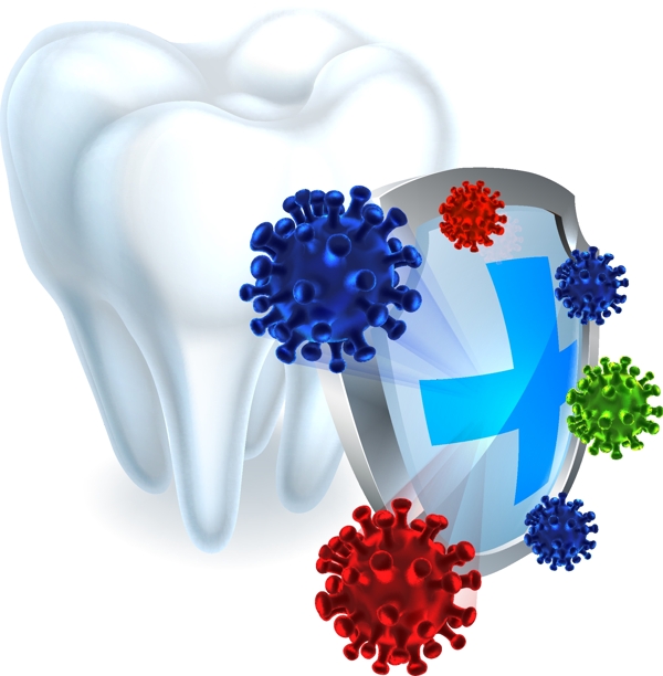抵御牙齿细菌的盾牌牙齿模型