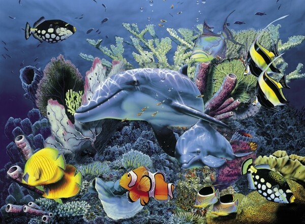 海底世界序列图图片