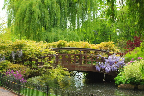 公园中的小桥风景图片