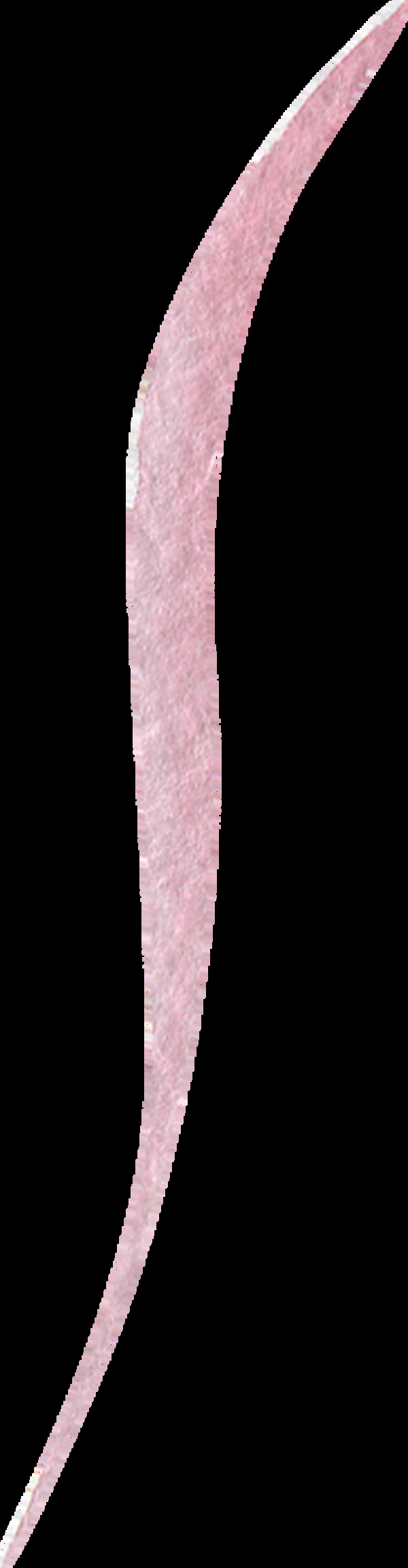 粉色长条柳叶卡通水彩透明素材