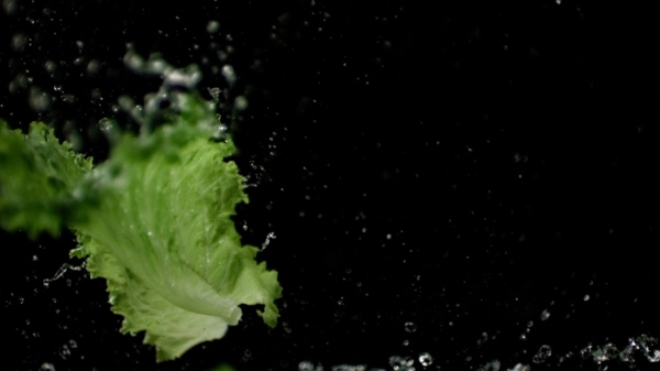 蔬菜系列高清实拍视频素材