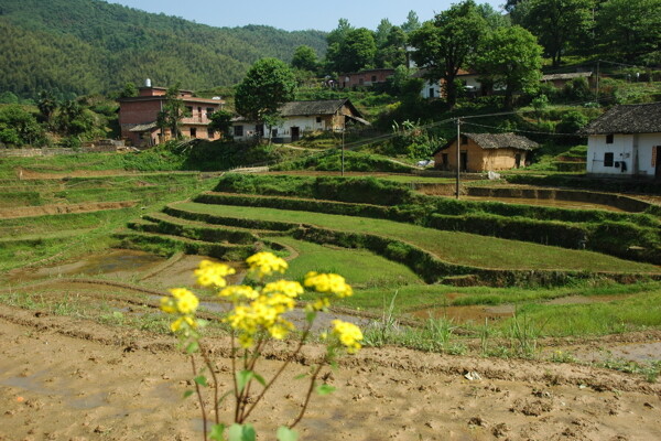 山村图片