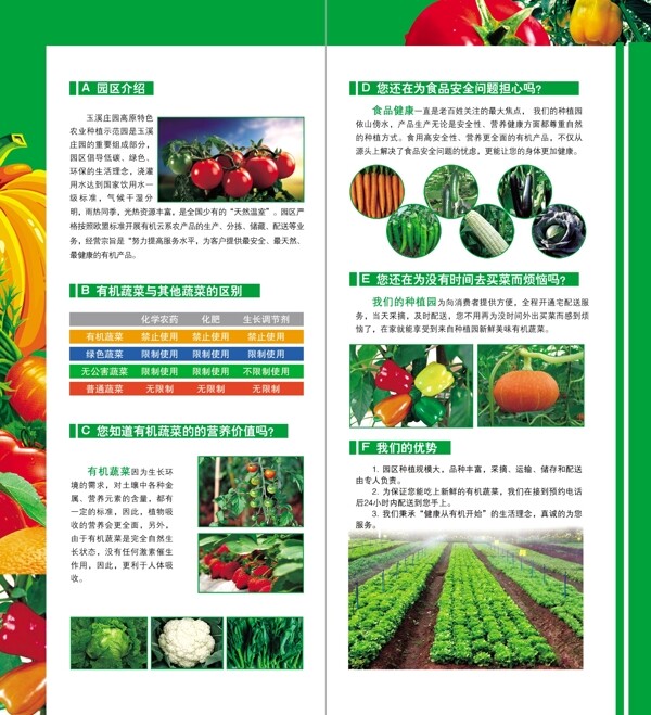 蔬菜宣传三折页图片