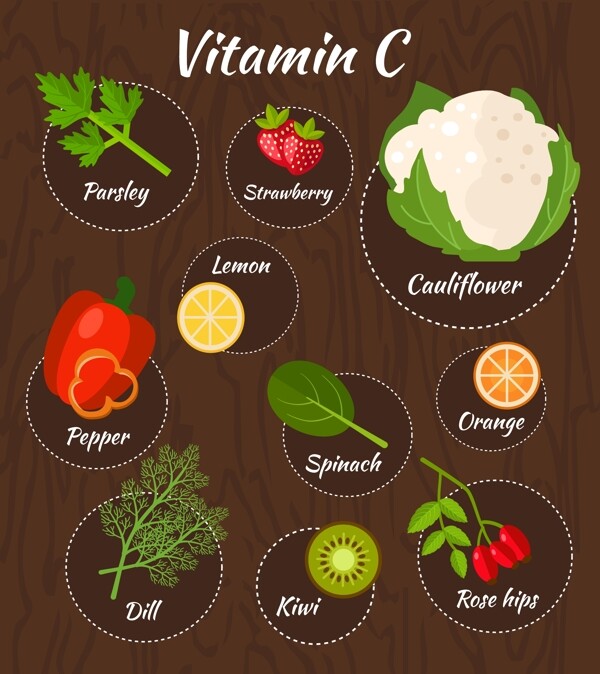 10款含维生素C的果蔬矢量图