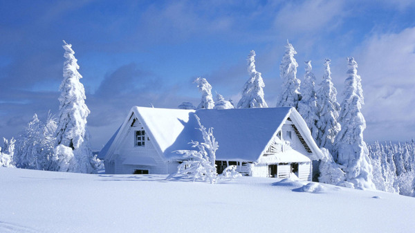 冬季雪景