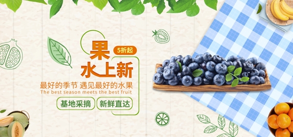 水果上新蓝莓食品简约banner