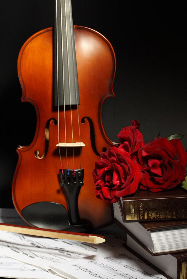 红玫瑰与小提琴图片