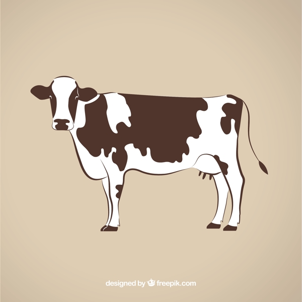 牛的插图