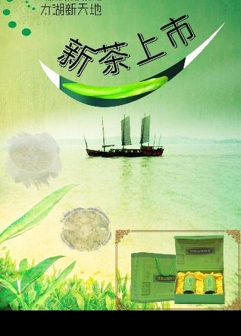 太湖茶叶图片