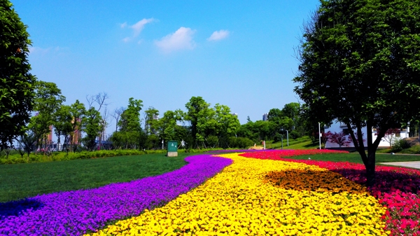 花海