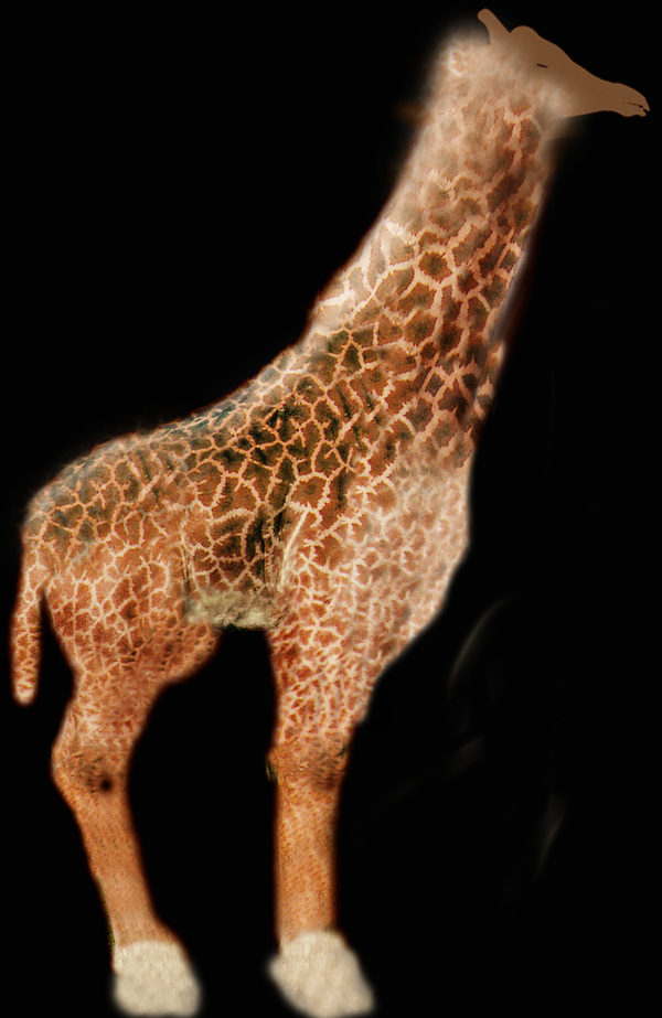 3d长颈鹿模型