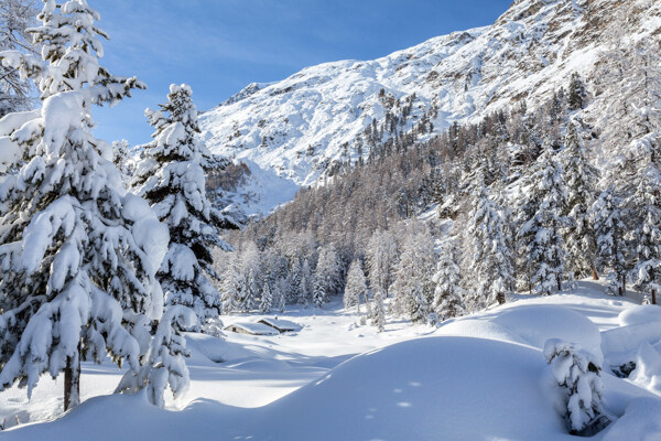 美丽的雪山雪峰图片