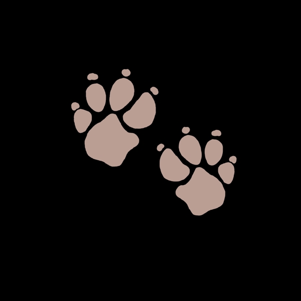 灰色狗熊样式的脚印
