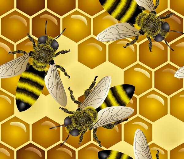 超清晰的放大版的蜜蜂矢量素材