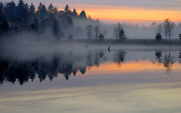 冬季清晨湖泊雾气