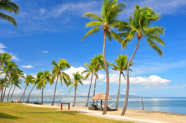 斐济维提岛海边风光图片