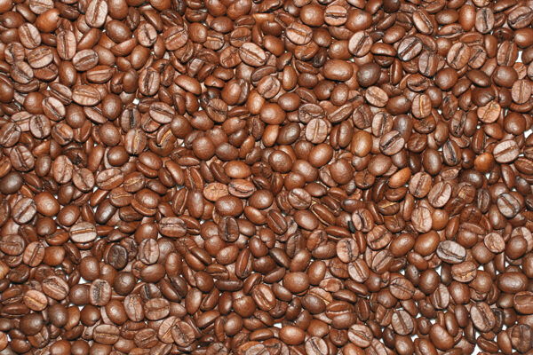 许多褐色咖啡豆特写图片