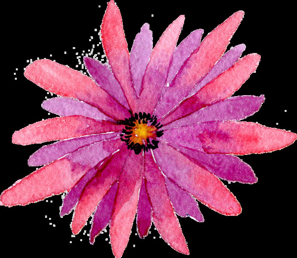 透明背景水彩花朵花卉植物素材