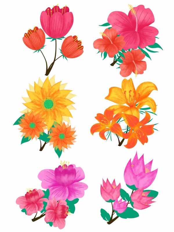 手绘精品花卉渐变手绘植物花卉