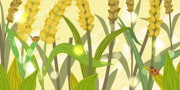 唯美植物麦穗插画背景设计