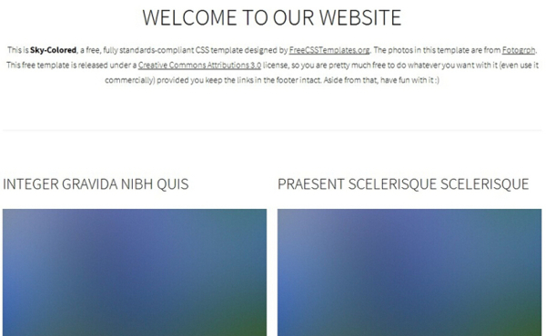蓝彩天空信息列表网页模板