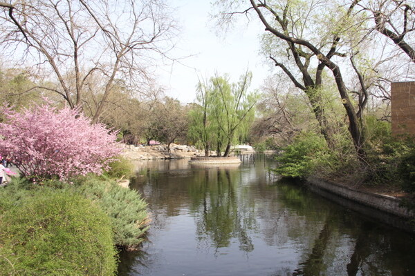 北京动物园河道图片