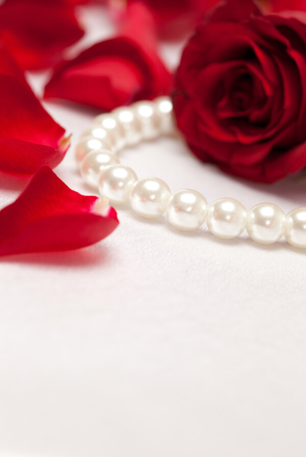 珍珠项链和玫瑰花