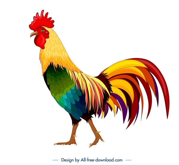 公鸡设计矢量图片