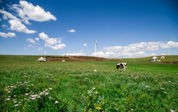 内蒙古草原高清图图片