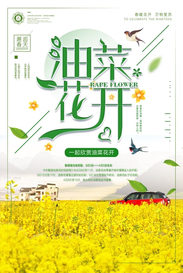 2018绿色婺源旅游最美油菜花海报