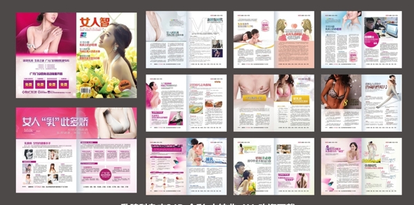 乳腺科杂志图片