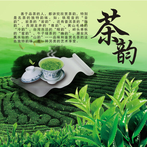 茶韵品茶茶文化
