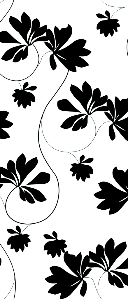 黑白叶子循环图片
