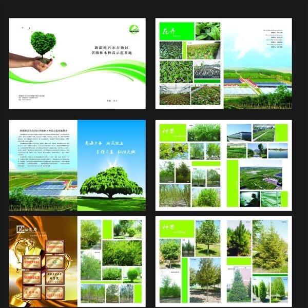 林木种苗画册图片