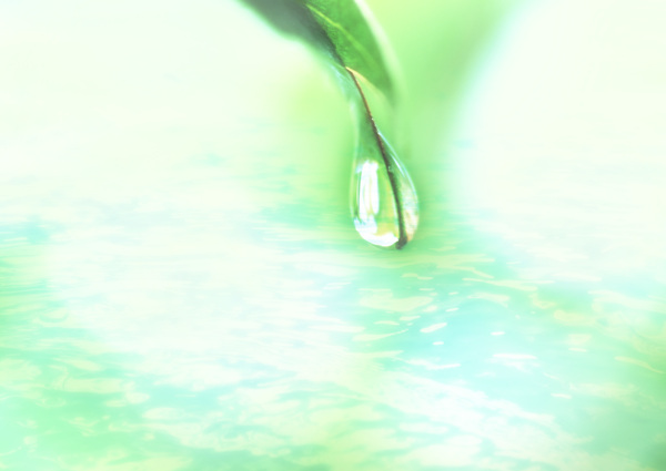 蓝天绿叶与水滴