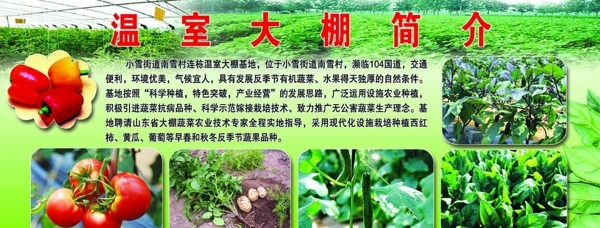 温室蔬菜大棚图片