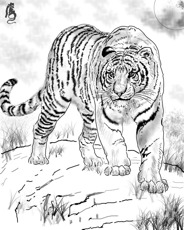 国画白描老虎图片
