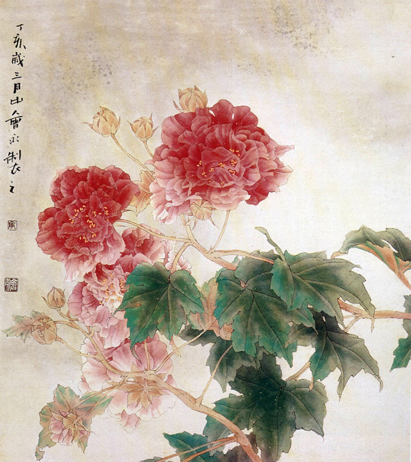 芙蓉漫舞图片