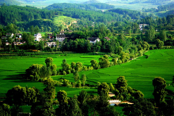 绿色农村风景图片