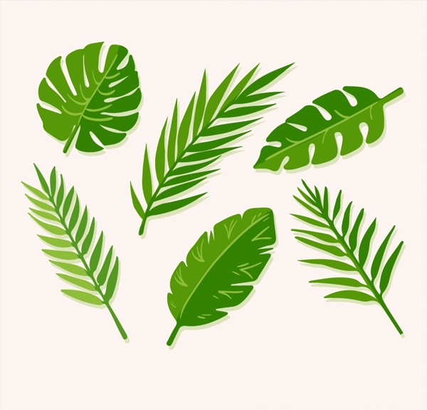 6款绿色棕榈树叶设计矢量素材